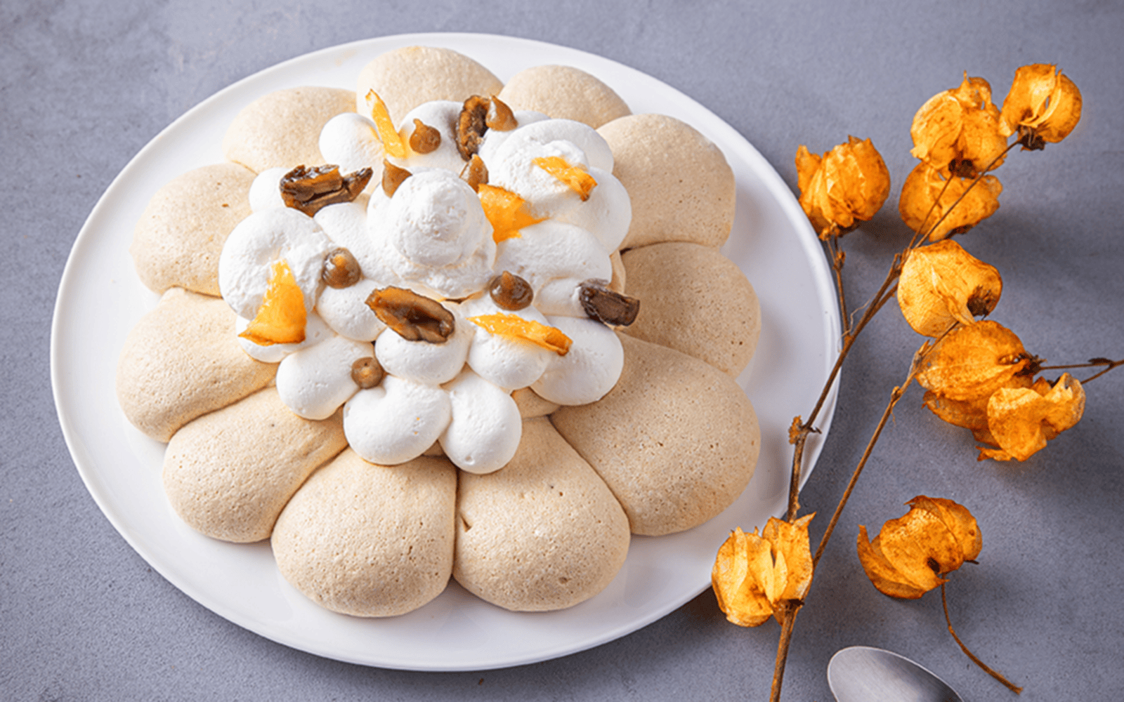 pavlova-1 (1)