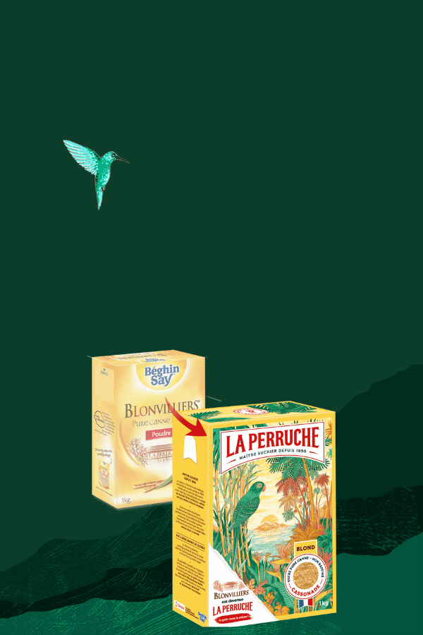 BLONVILLIERS DEVIENT LA PERRUCHE